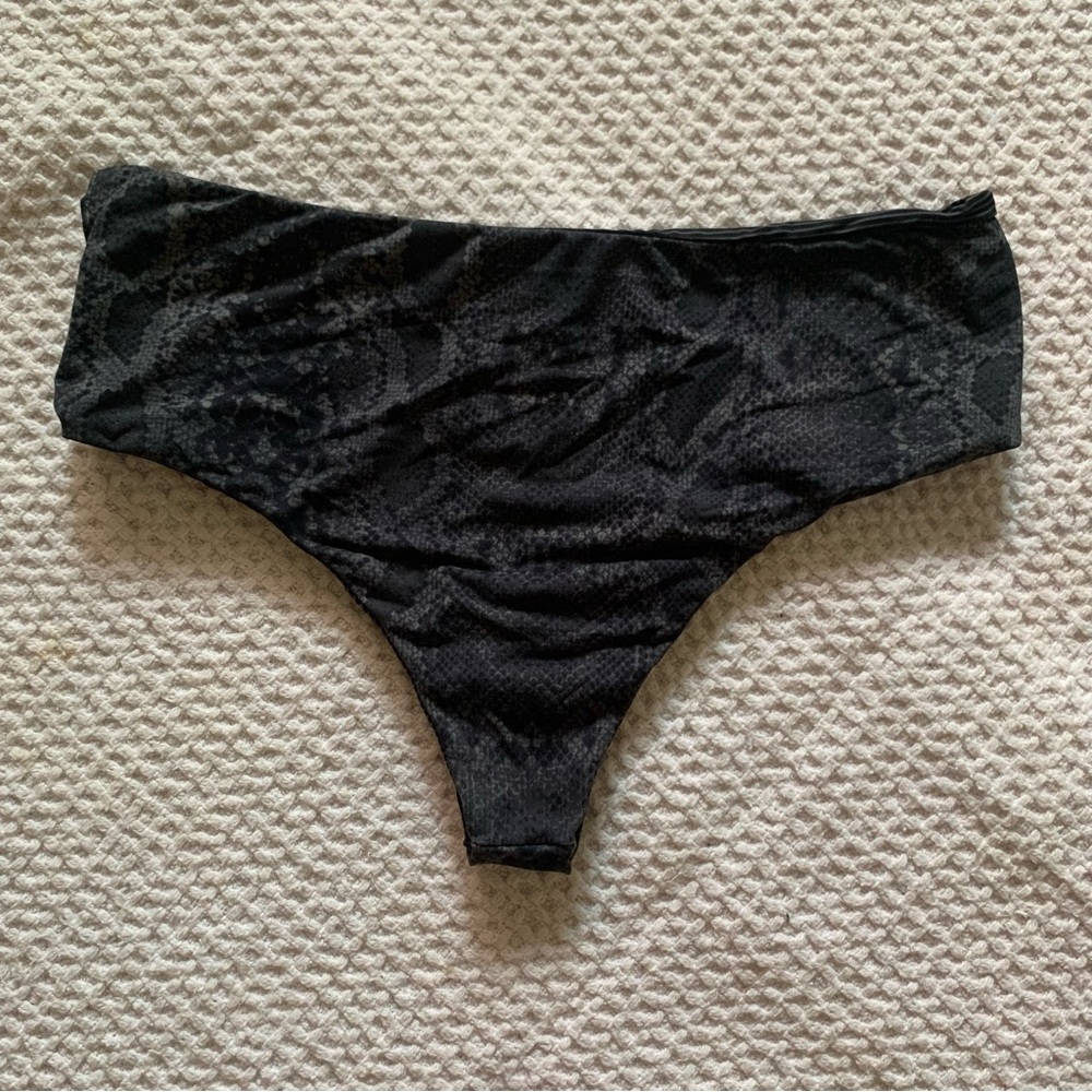 Acacia bikini - Picture 3 of 4